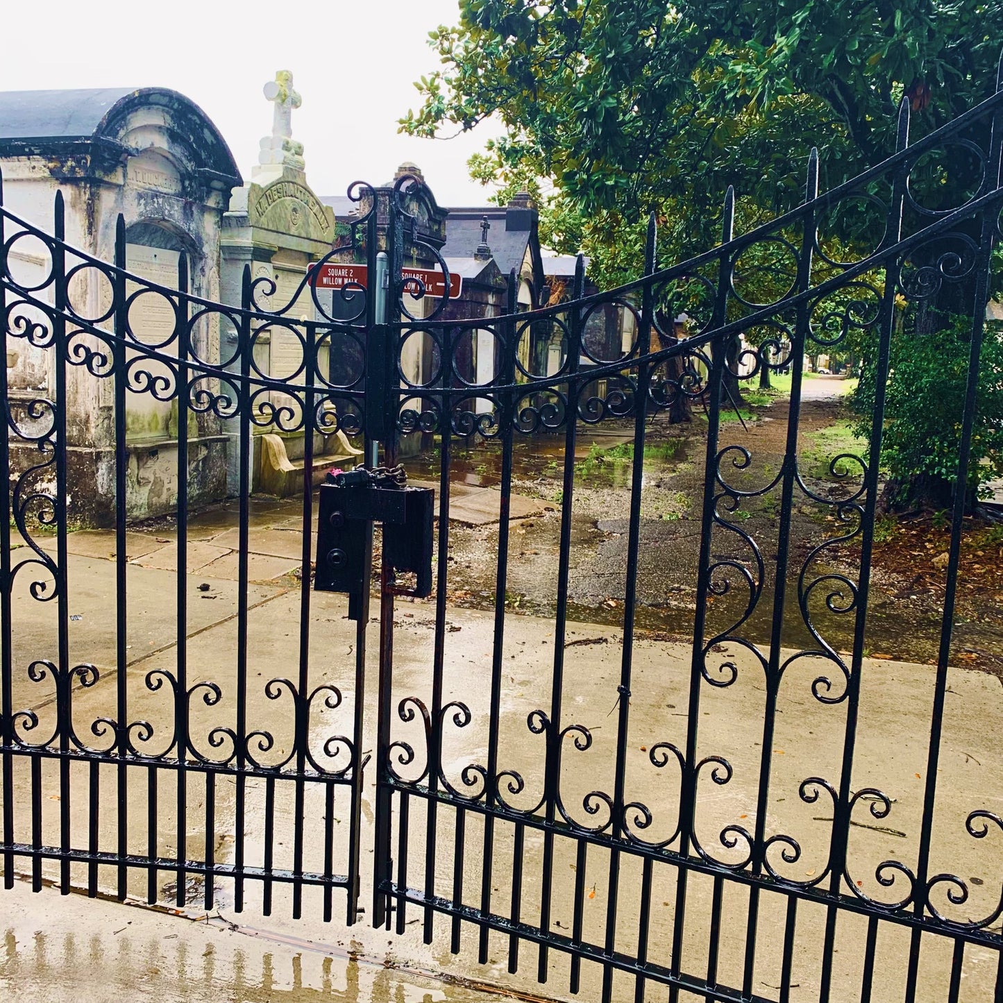Cemetery Gates