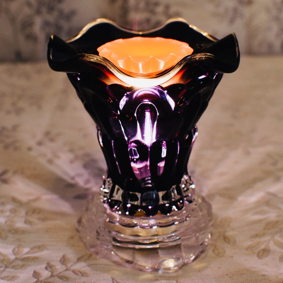 Wax Melts Variety 12 Pack