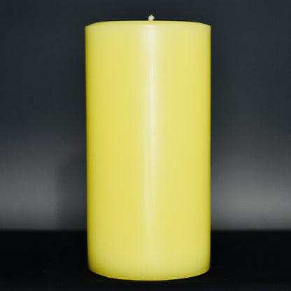 Partridge In A Pear Tree