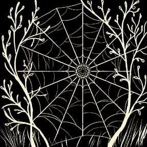 Arachne’s Garden™